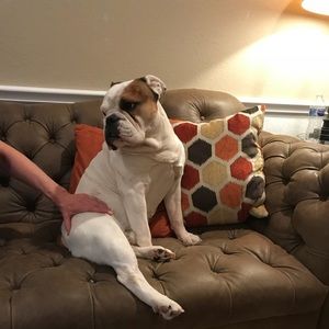 Meet your Posher, Curtis